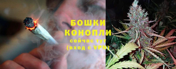 сатива Навашино