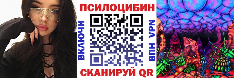 площадка наркотические препараты  Чкаловск  Псилоцибиновые грибы GOLDEN TEACHER  купить закладку 